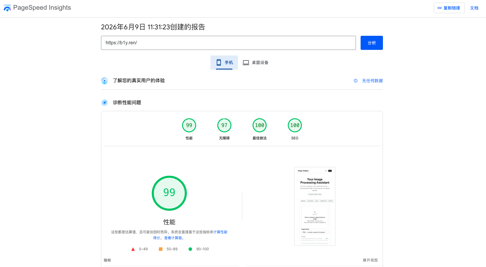 PageSpeed Insights mobile performance score for b1y.ren