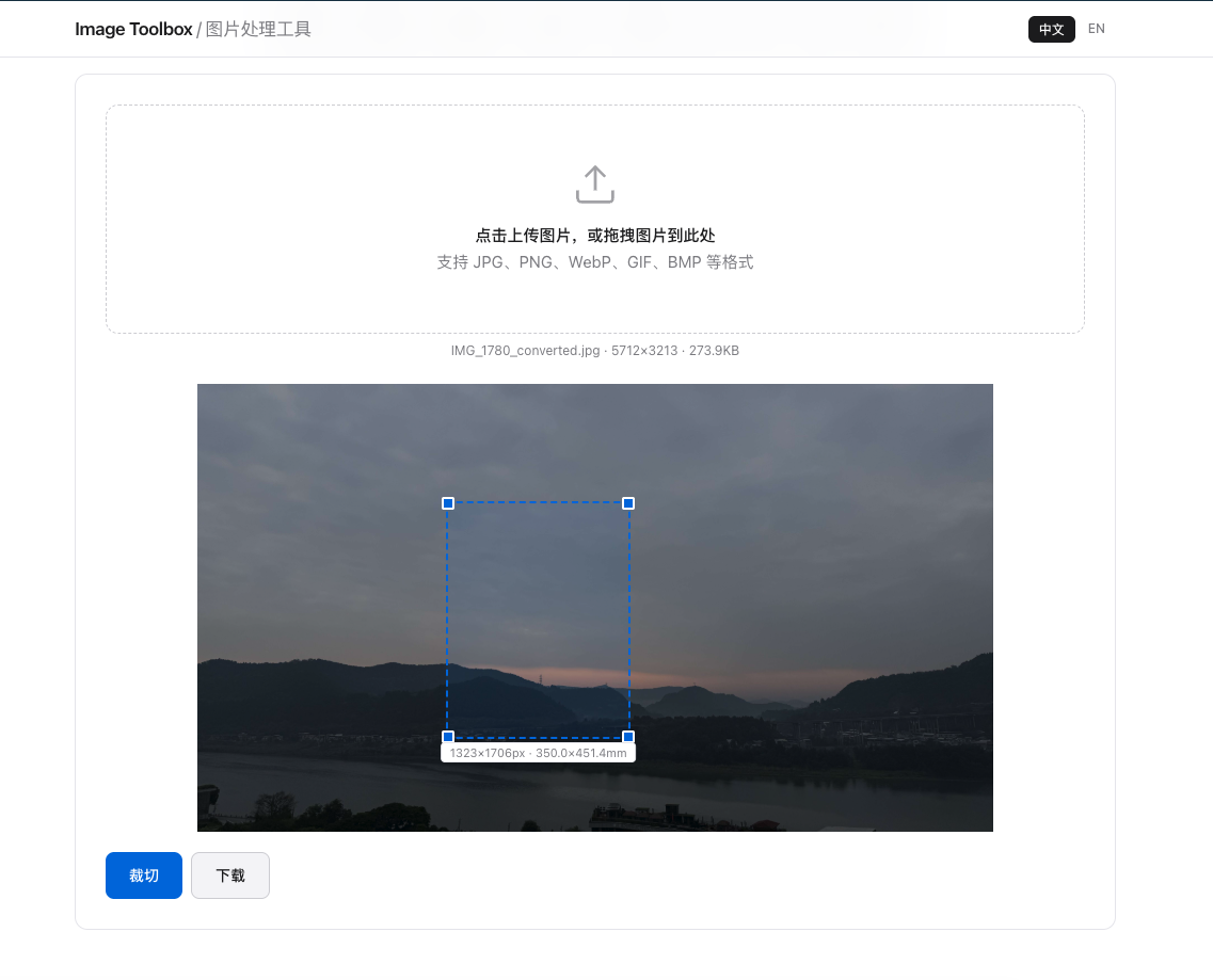 Passport photo cropping interface showing dimension guides and background check